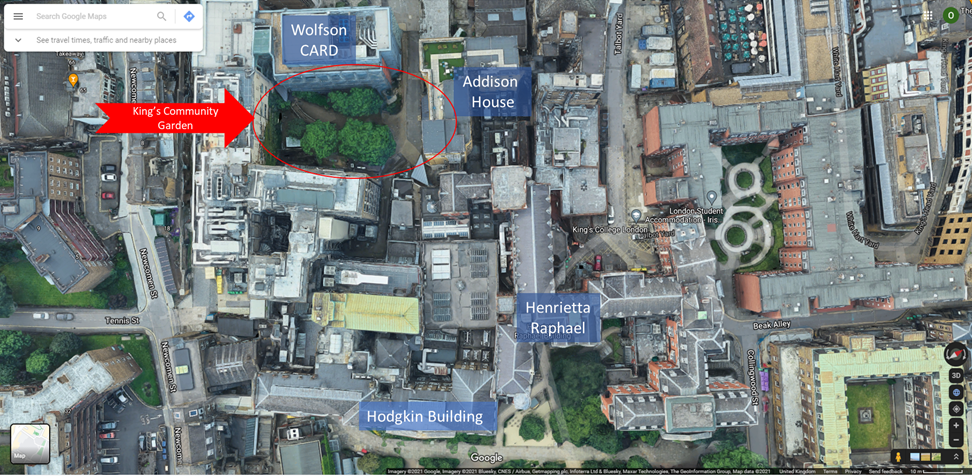 A satellite image of a map highlighting the different buildings on Guy's campus. A red circle highlights the location of the community garden.